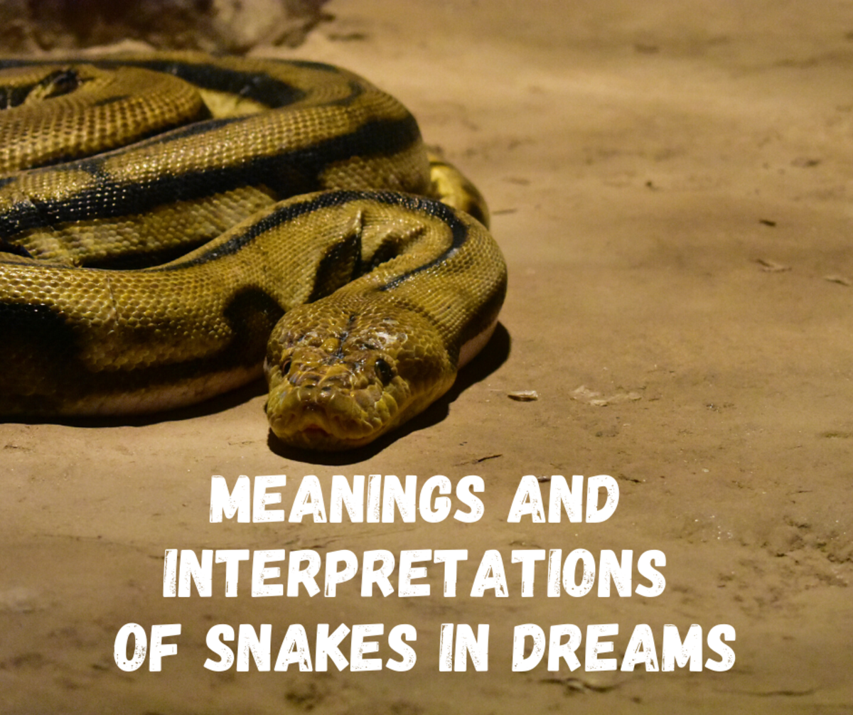 What are the methods of dream interpretation snakes？ Try these ways!