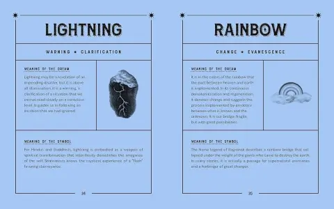 Need to Know the Dream Interpretation Stingray Meaning？ Read This Simple 5-Step Symbolism Analysis!