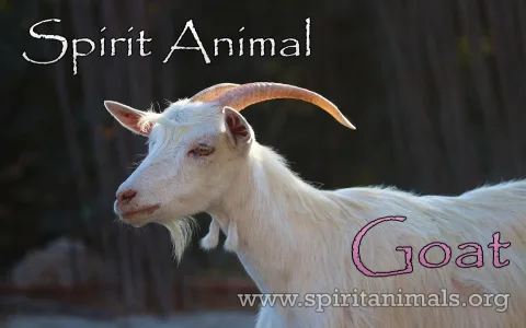 What does the goat symbolize spiritually？ Find out now!