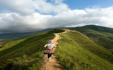 Dream interpretation travel： Can it predict your future journey？ Find out!