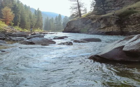 What does a beach mean in a dream？ Common dream interpretations explained very easily!