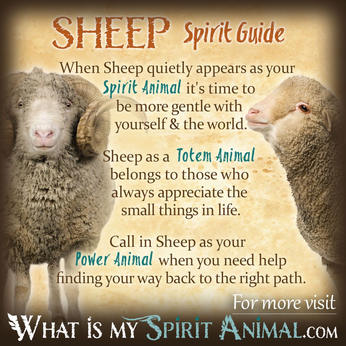 Is the sheep spiritual meaning good luck？ (Discover the divine guidance now)