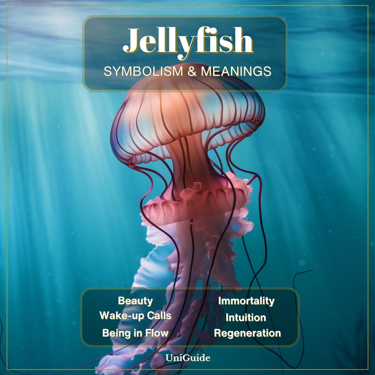 How to understand jelly fish spiritual meaning？ Here are some tips!