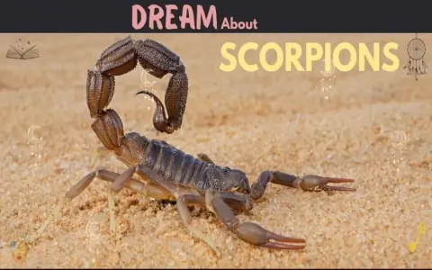 Full spiritual meaning scorpion for dreams： Top 5 interpretations explained now!