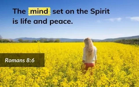 Understanding the Spiritual Meaning of Teeth： Start Interpreting Your Dreams Today.