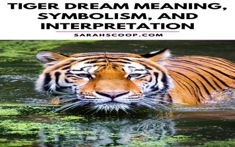 Dreaming of a tiger: 3 ways to understand the hidden message of tiger dreams