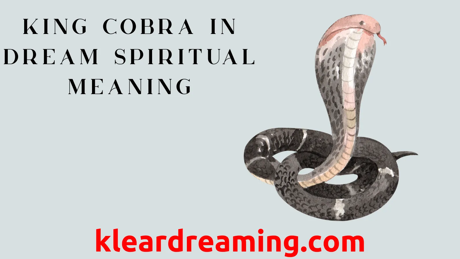 King cobra in dream spiritual meaning： Uncover the hidden messages!