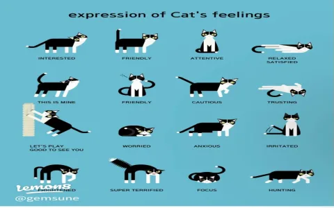 Decoding Kitten Symbolism: What Does It Really Mean Spiritually?