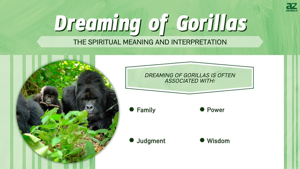 Gorilla spiritual meaning explained： What does it symbolize？