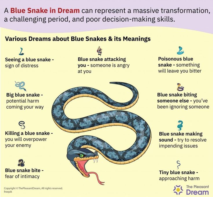 Blue snake in dreams: What are the common interpretations?