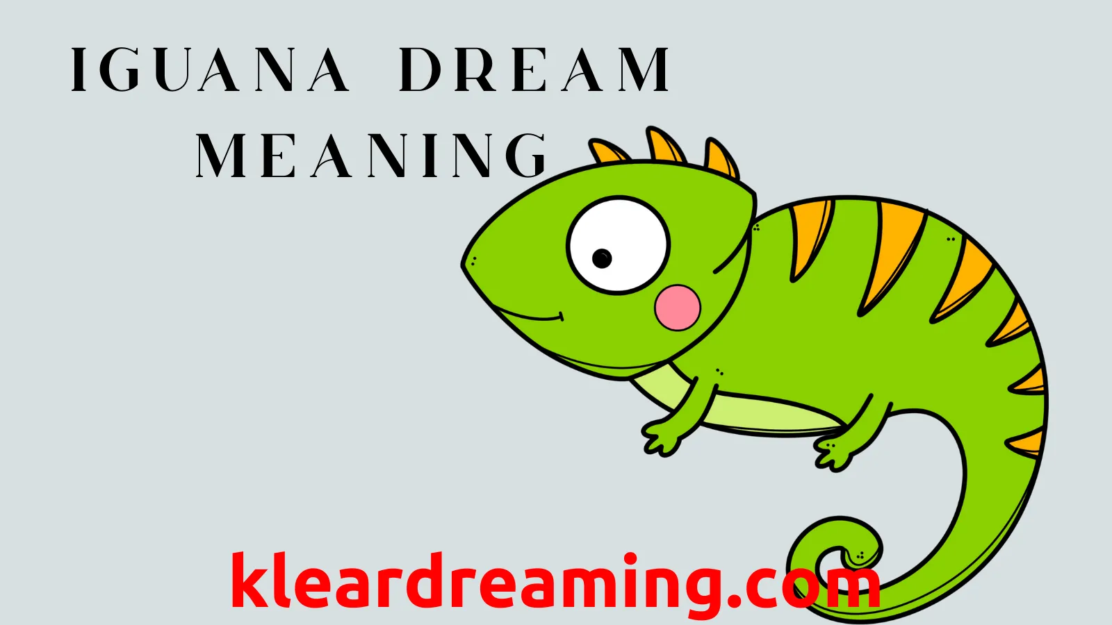 Dream interpretation iguana： Are you missing these signs？
