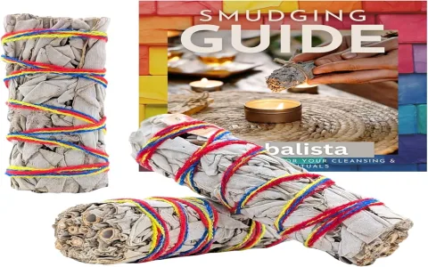 White sage spiritual meaning explained： A beginners guide!