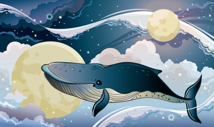 Dream interpretation whale： What do these dreams really mean？