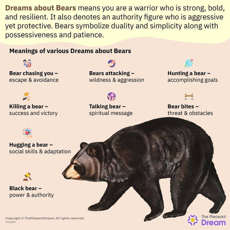 Dream interpretation bear： Tips for analyzing dreams about bears