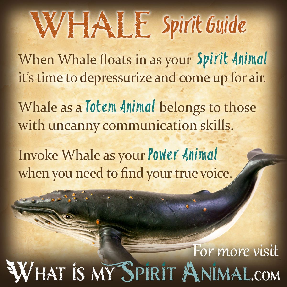 What is the whale spiritual meaning? Discover its hidden messages!