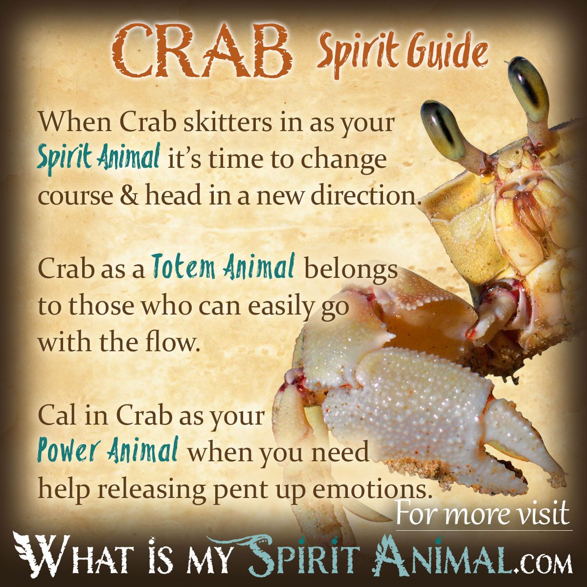Spiritual meaning of crabs： What does it symbolize in different cultures？