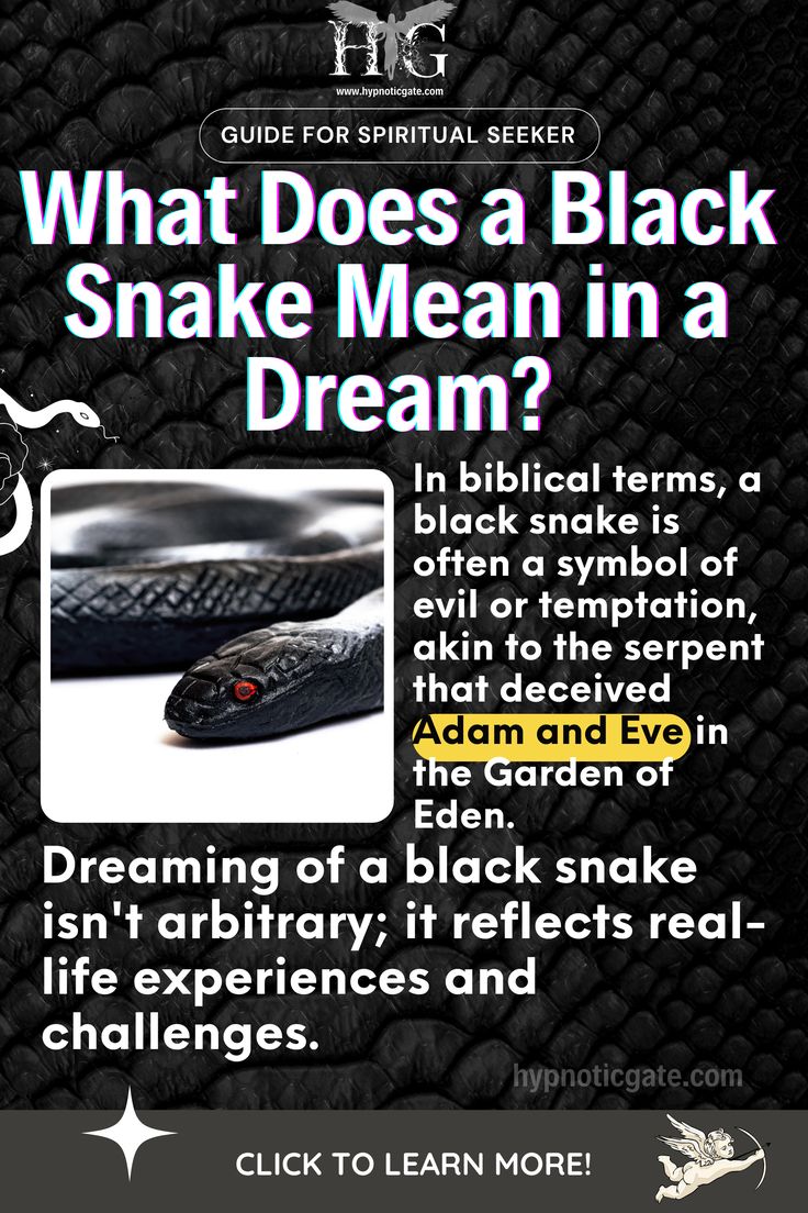 Dream interpretation of black snakes: Common symbols and meanings!