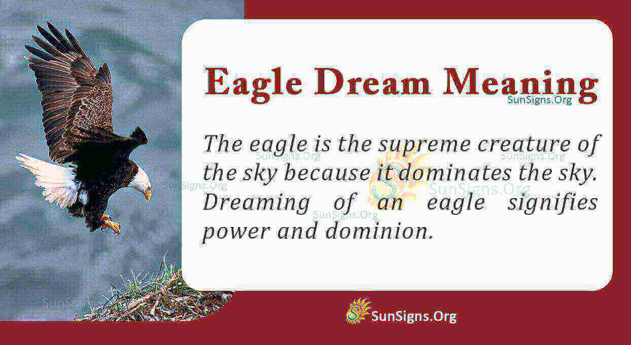 Dream interpretation of an eagle: Is it a good or bad omen? Find out now!