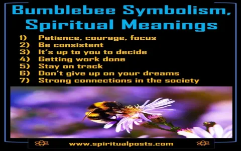 Dream about bees spiritual meaning - What does science say about it？