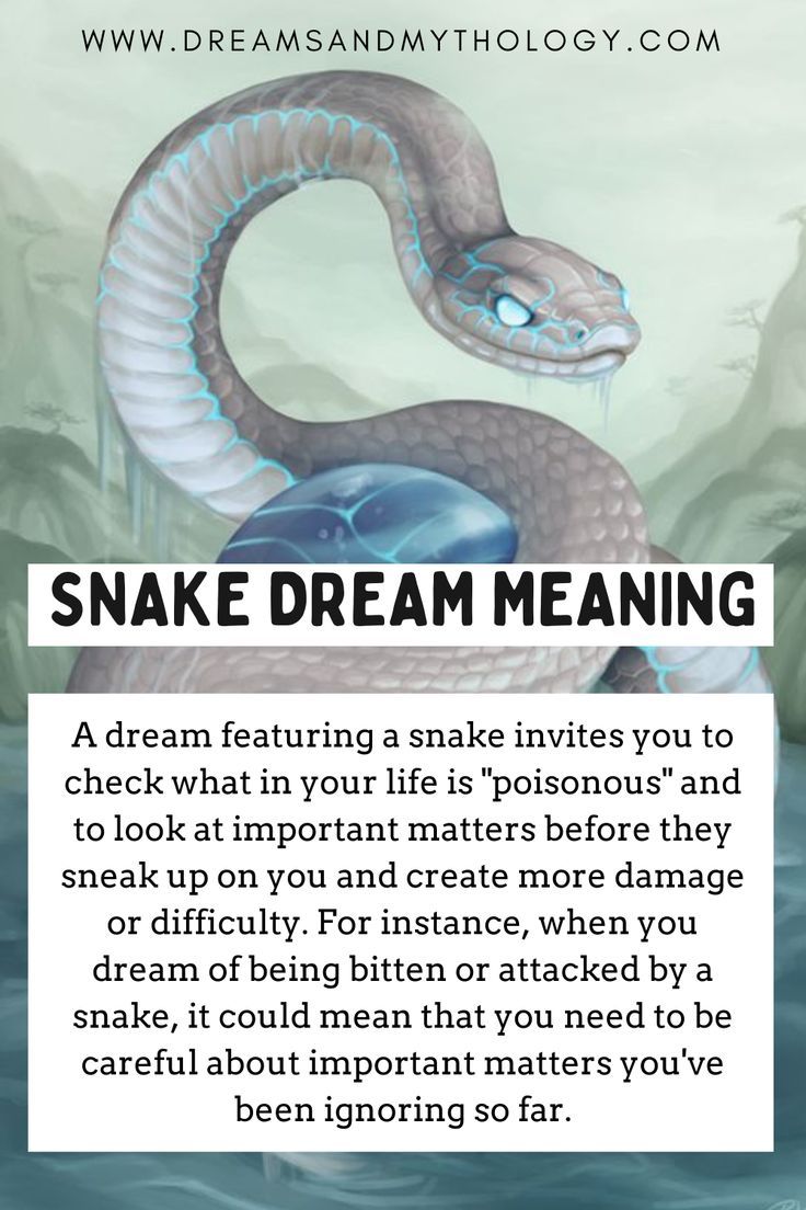 dream interpretation snake