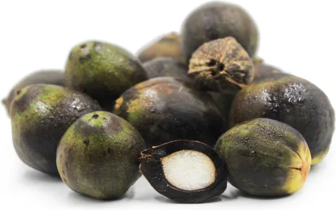 Coconut Dream Interpretation for Money and Wealth： Are You About to Get Really Lucky？