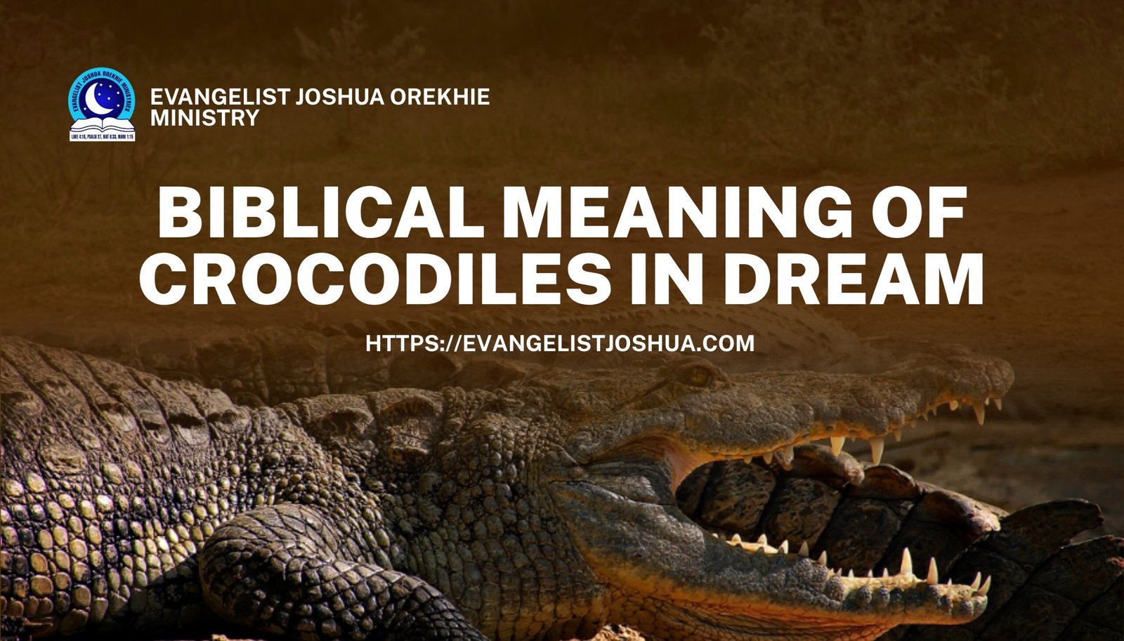 Bad dream of alligators eating me？ Christian interpretation explained.