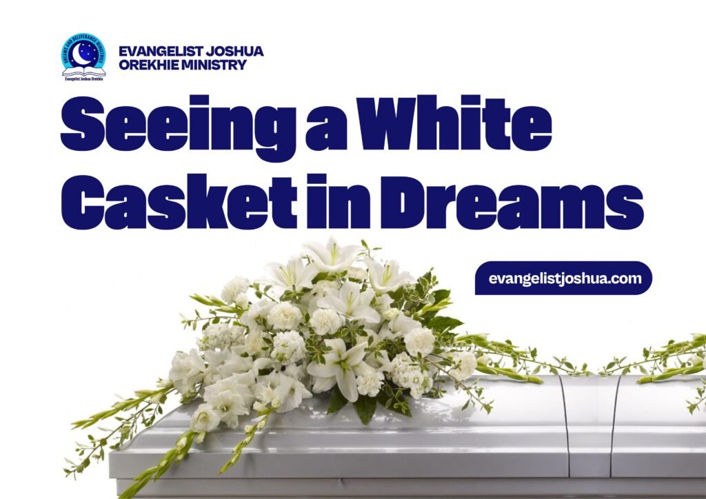 White Coffin Dream： Get Your Meaning!