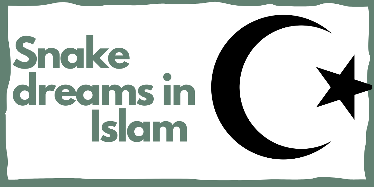 How to interpret a cobra in dream Islam vision？ A simple, easy guide for Muslims explained.