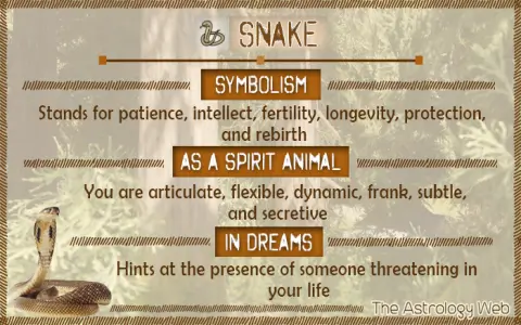 african interpretation of snake dreams: 5 secret spiritual facts you must know!