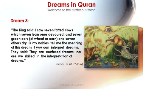 What is the Airplane Islamic Dream Interpretation for you？
