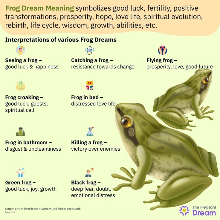 Why did I see frogs? dream interpretation frogs guide