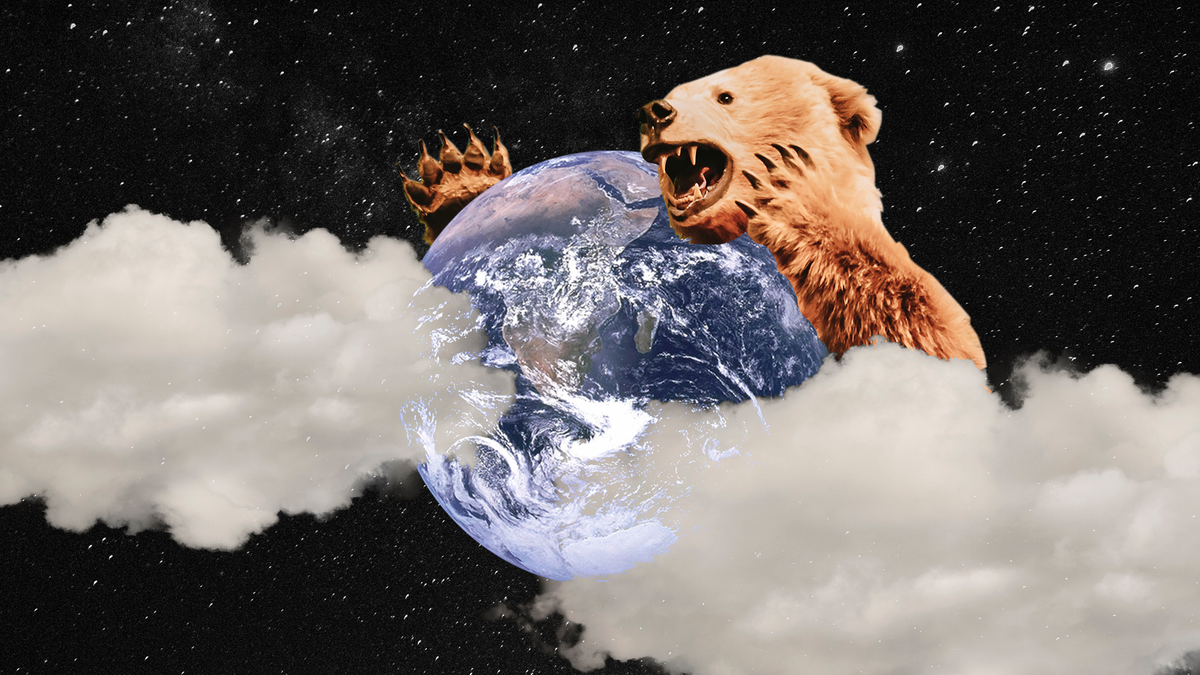 How to Understand Your Bear Dream： Find Easy Bear Dreams Interpretation Tips