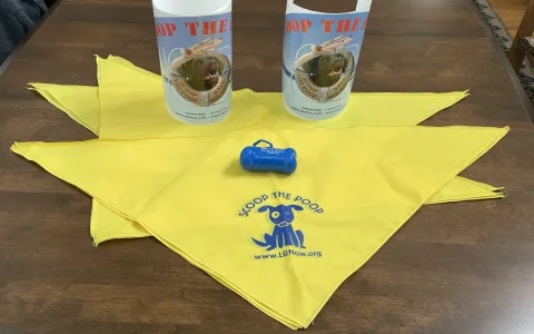 Dream interpretation dog poop and money: Get the full scoop!