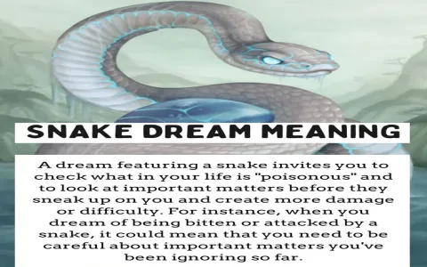 Seeing an Albino Snake in Dreams？ Heres What It Means!