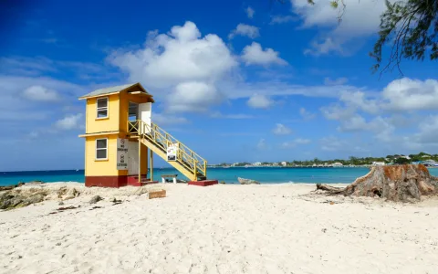 Your Dream Interpretation Beach Symbols Decoded: Are You Seeing the Ocean or the Sand? (Read This Before You Forget!)