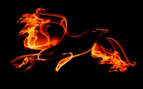 How to use your phoenix spirit animal energy? Use it for radical rebirth!