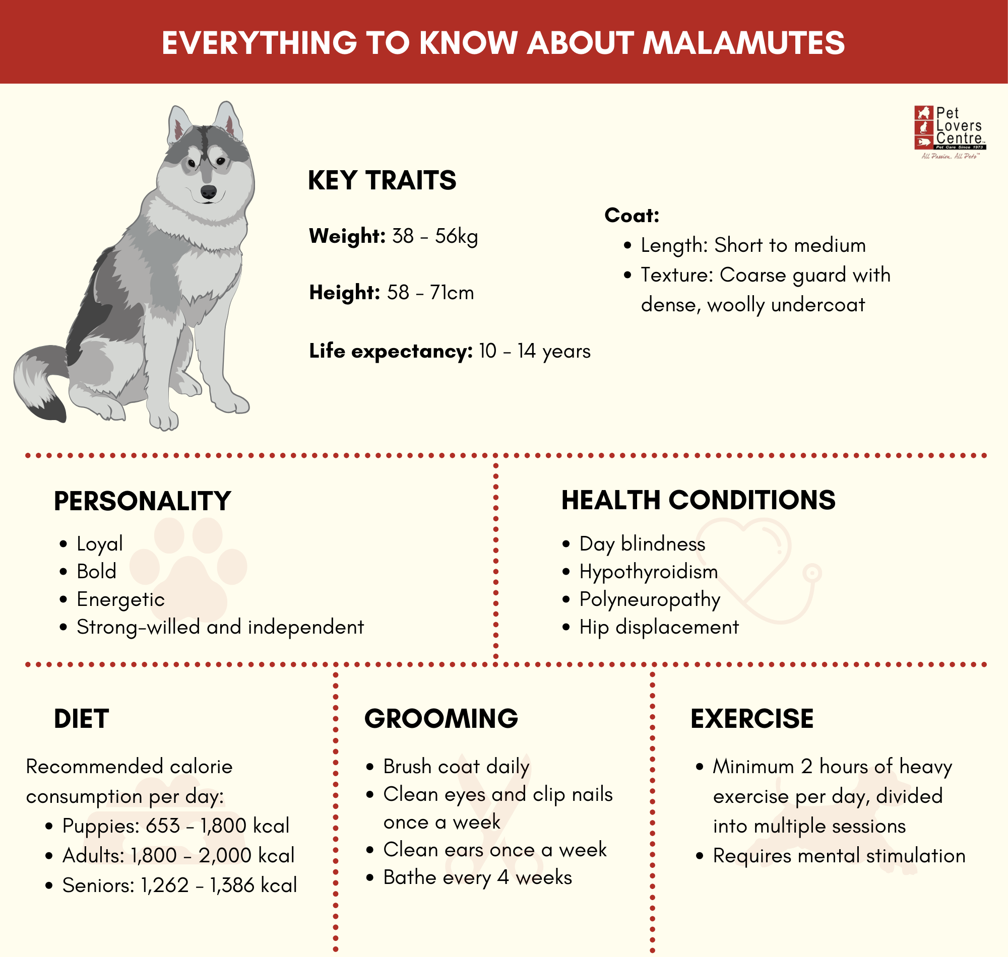 Alaskan Malamute Dream Interpretation： Your Guide to Meanings.