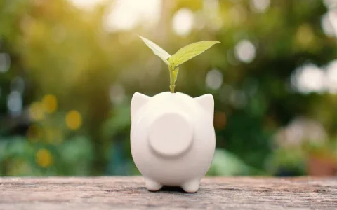 Why Is Dream Interpretation Wealth Important？ Unlock Your Financial Future Today.