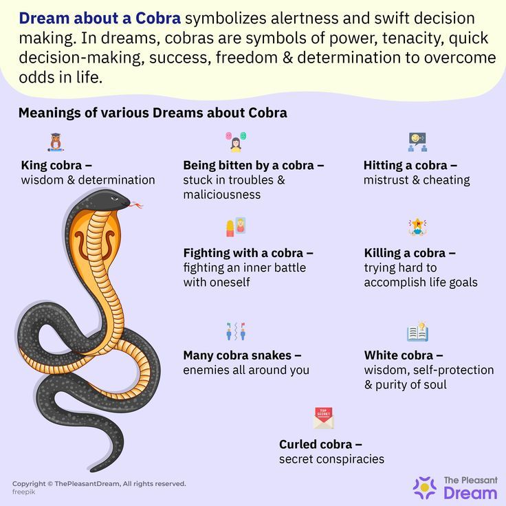 Dream Interpretation Cobra: What does seeing a striking cobra mean?