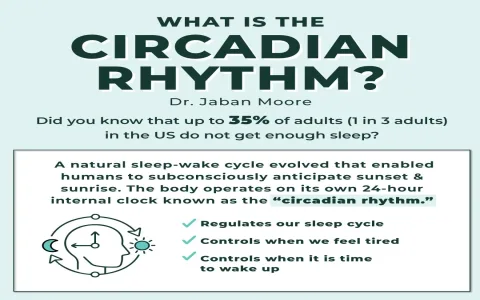 Best Akanbi Dream Interpretation Tips for Better Sleep