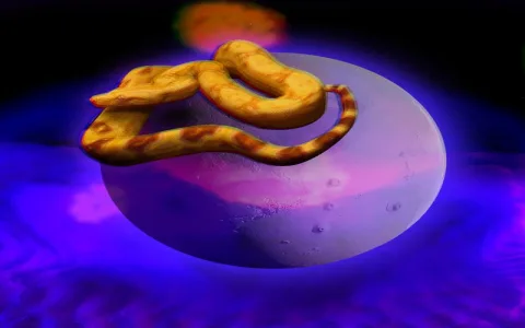 Is a Coffin Dream Always a Bad Omen? Uncover the Positive Dream Interpretation Coffin Symbolism Now.