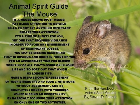 Discovering the Mice Spiritual Meaning: Your Animal Totem Guide