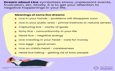 Best an interpretation of dreams meaning： Get clarity on your dreams.