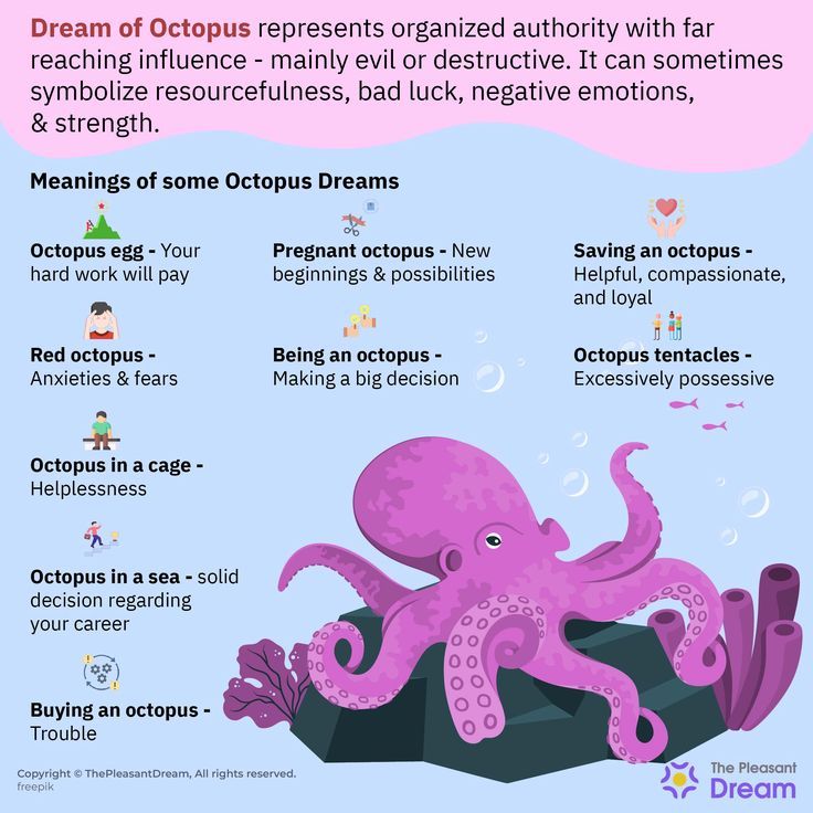 Spiritual Meaning of Octopus in Dream: What it Means for You!