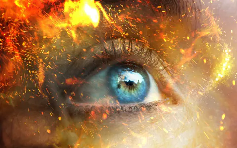 Unveiling the spiritual meaning of a book in a dream for you today