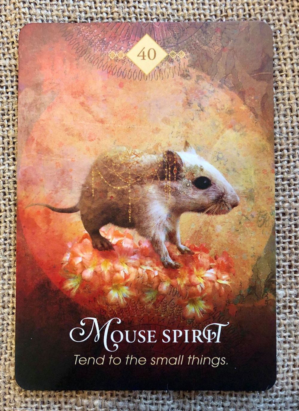 Mice： homes spirit (Pay heed)