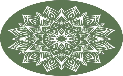 Why did I see 2 green parrot spiritual meaning in my meditation?