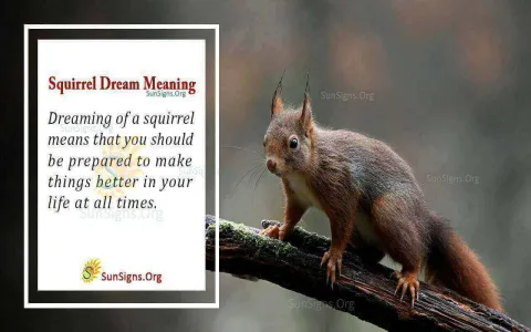 Best explanations for seeing squirrels spiritual meaning
