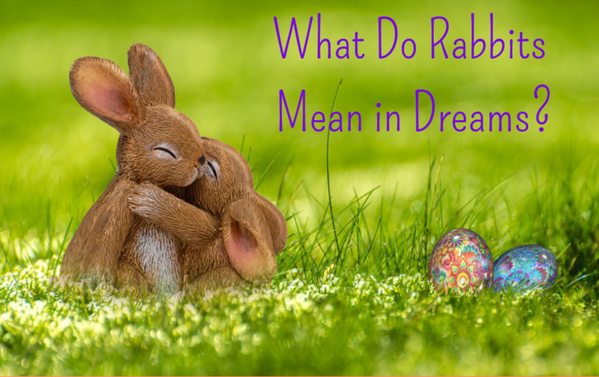 What Does It Mean When You Dream of a Rabbit: Finding the Hidden Symbolism