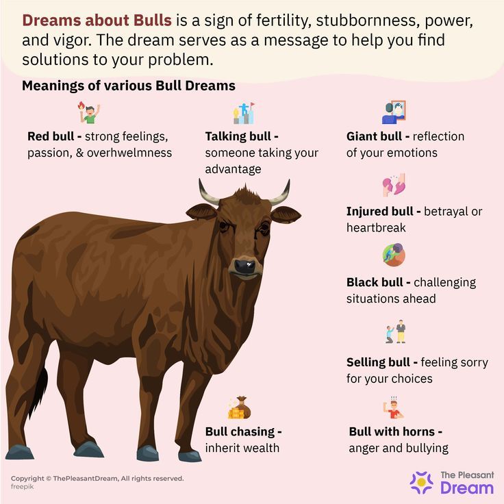 How to interpret bull in a dream? Simple analysis for beginners
